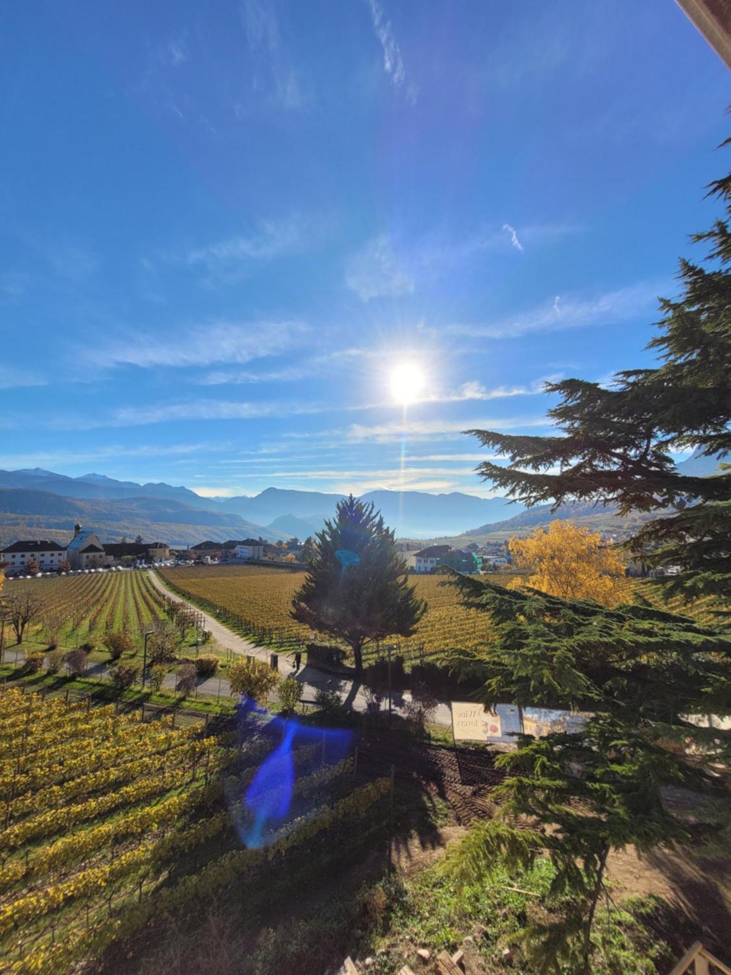 Castel Sallegg Suites Adults Only Caldaro Buitenkant foto